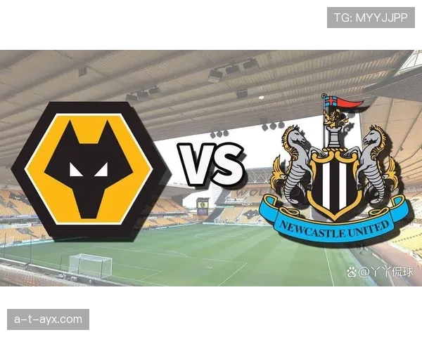 狼队转会窗状态回暖，新援加盟增强阵容深度